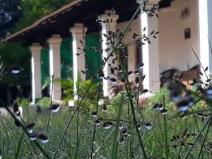 KP Cottages