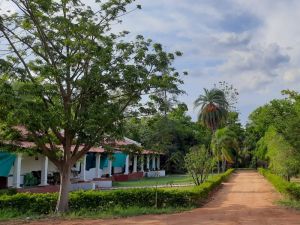 KP Cottages