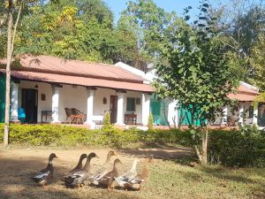 KP Cottages
